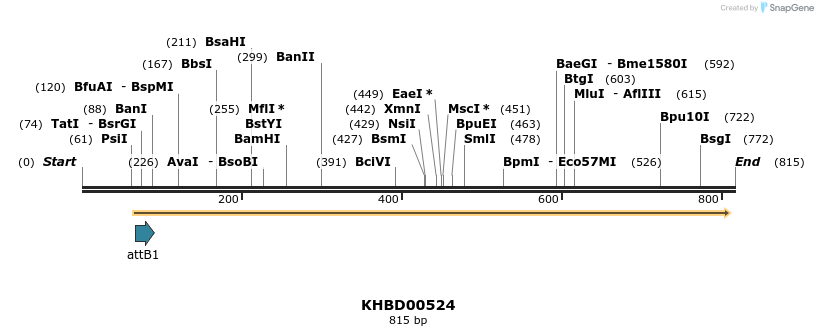 52452_map