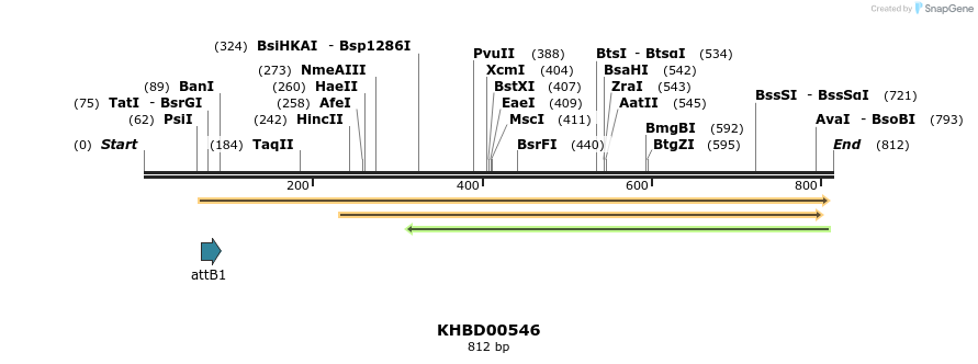 52457_map
