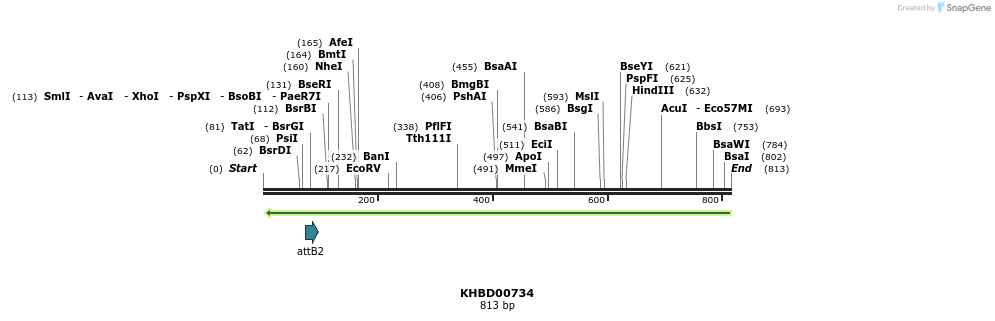 52458_map