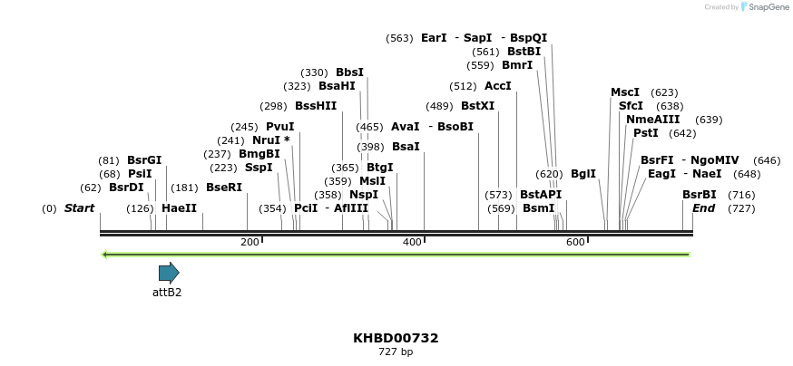 52459_map
