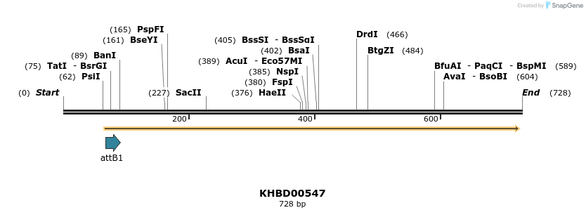 52460_map