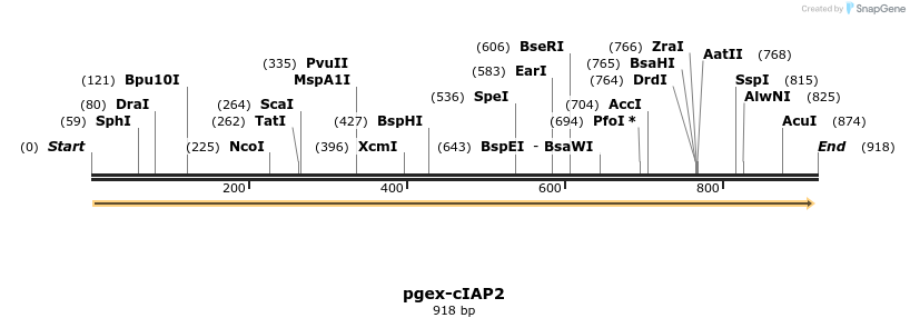 52463_map