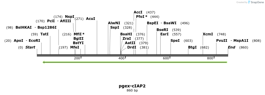 52464_map