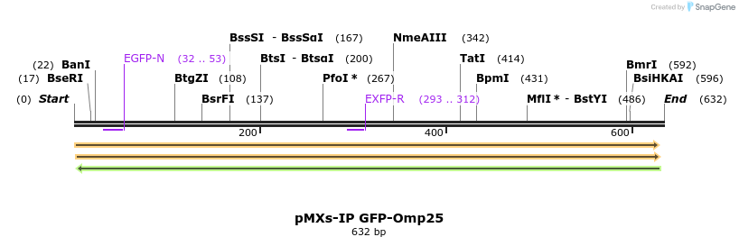 52467_map