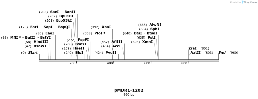 52468_map