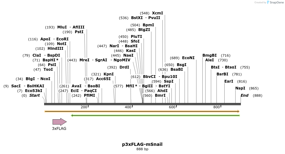 52469_map