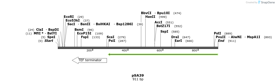 52475_map