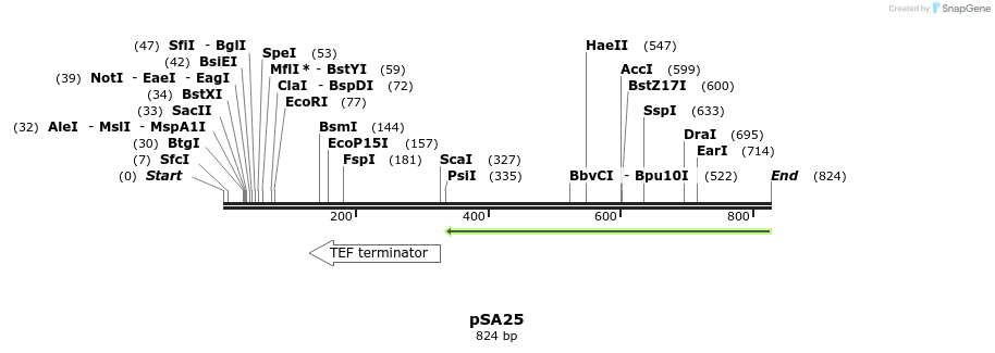 52476_map