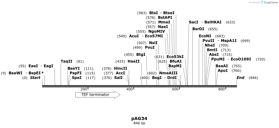 52479_map
