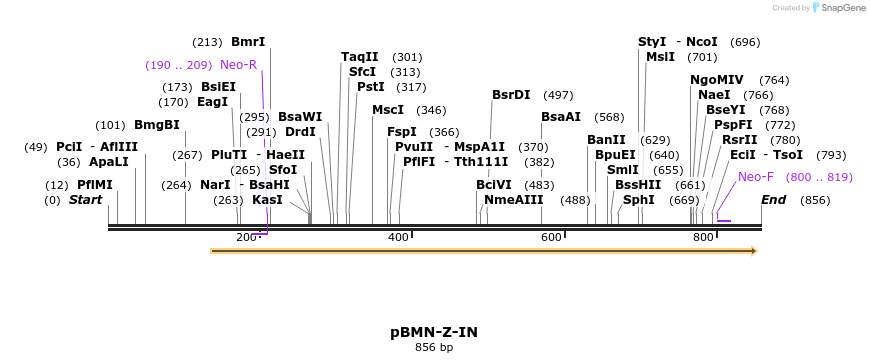 52483_map