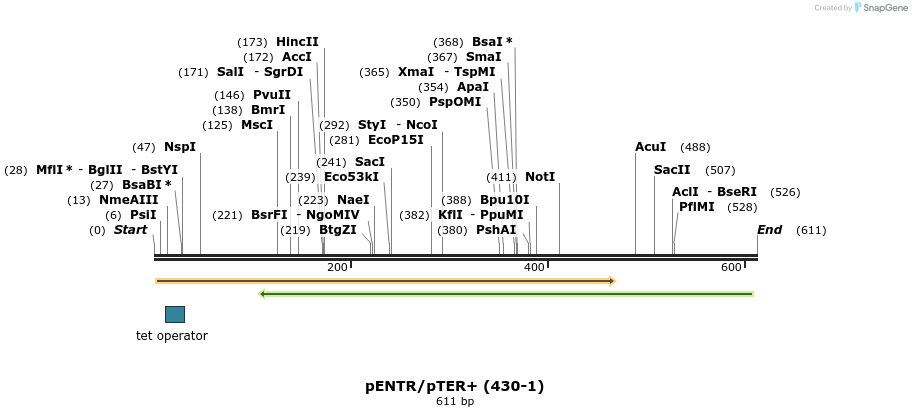 52487_map