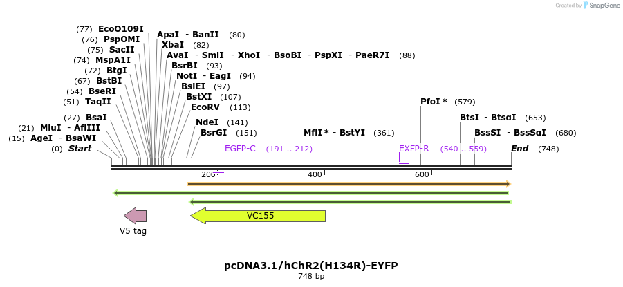 52502_map