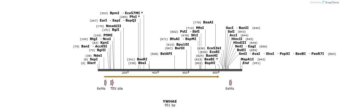 52507_map
