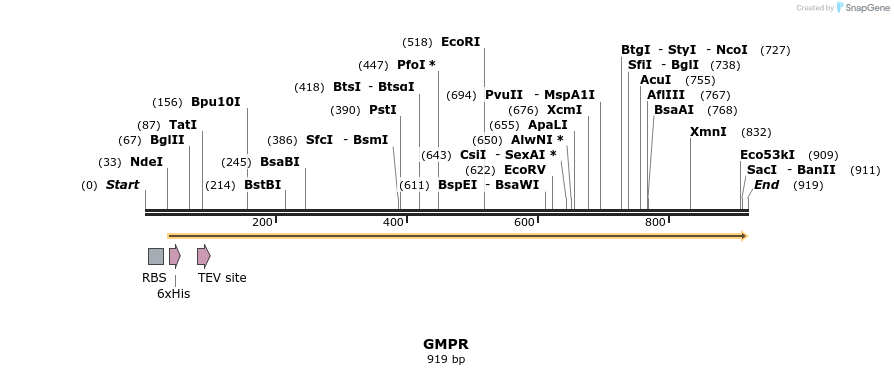 52512_map