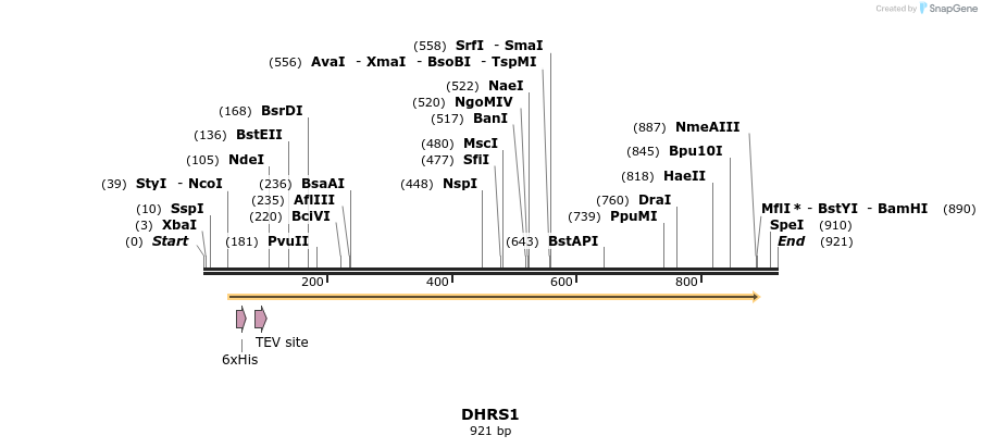 52514_map