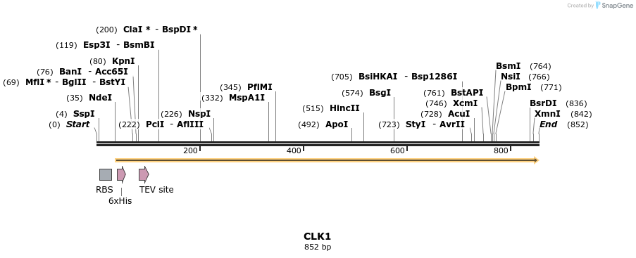 52517_map