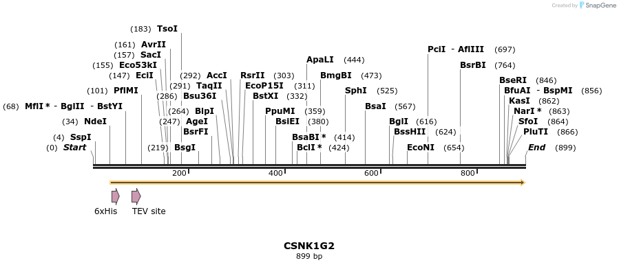 52520_map