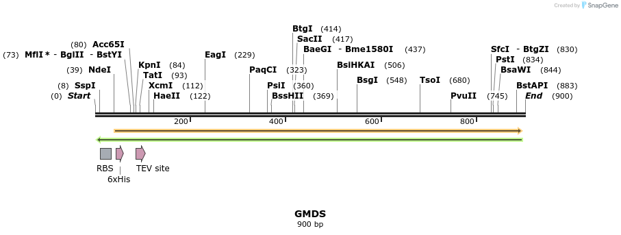 52527_map