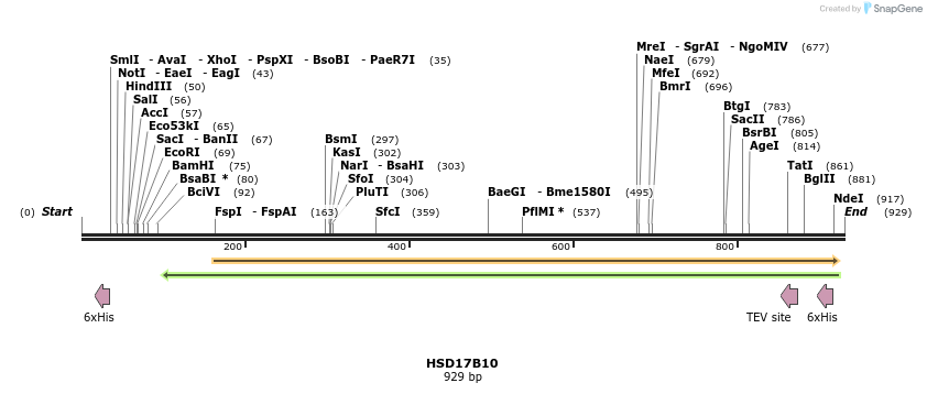 52528_map