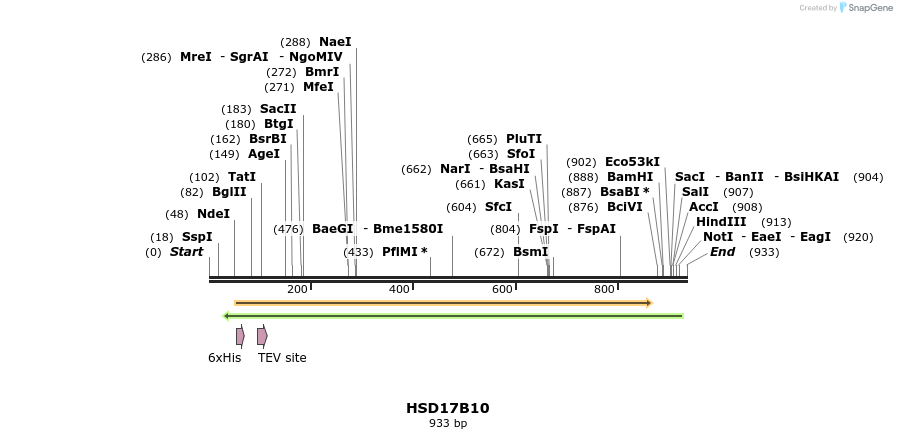 52529_map