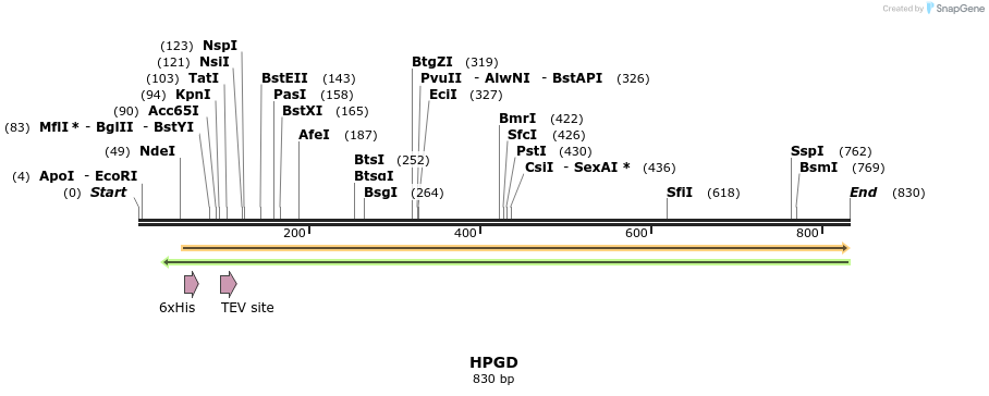 52531_map