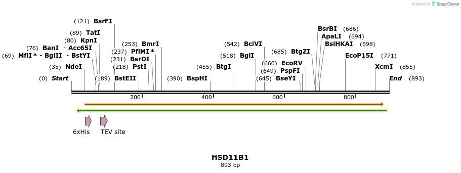 52533_map