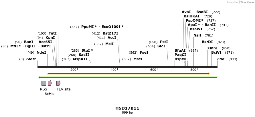 52541_map