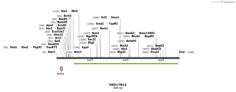 52542_map