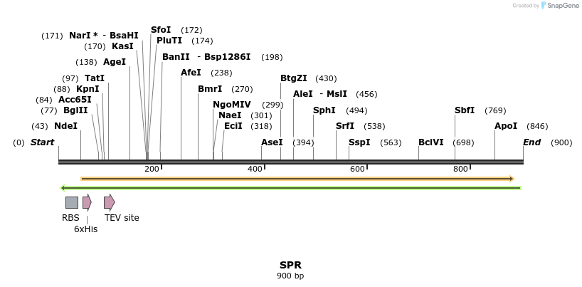 52545_map