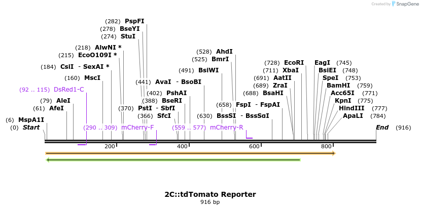 52557_map
