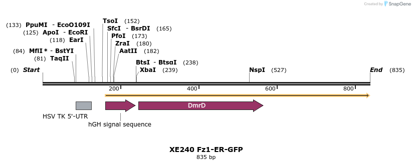 52560_map