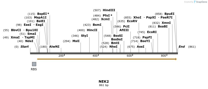 52561_map