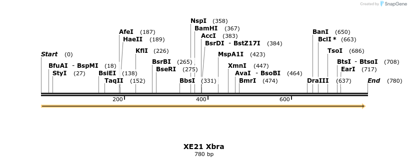 52562_map