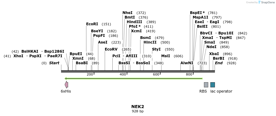 52563_map