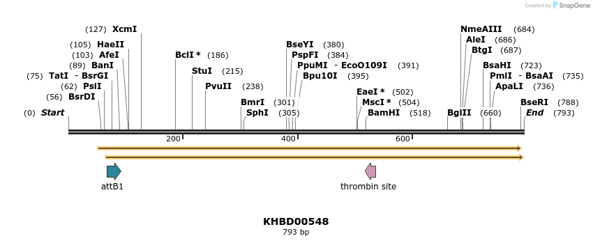 52564_map