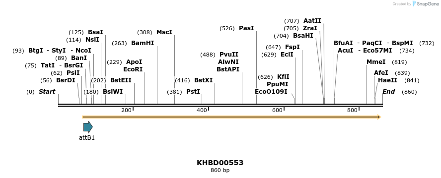 52566_map