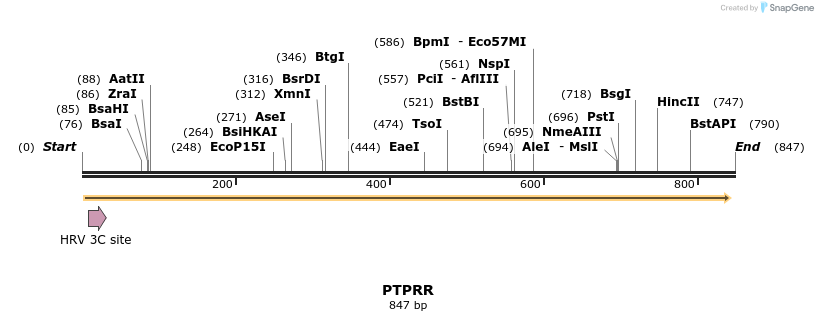 52567_map