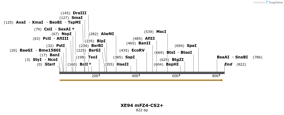 52573_map