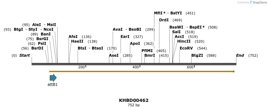 52575_map