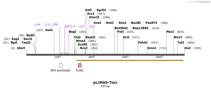 52576_map
