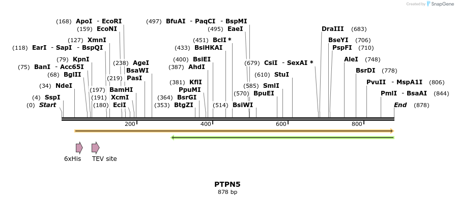 52578_map