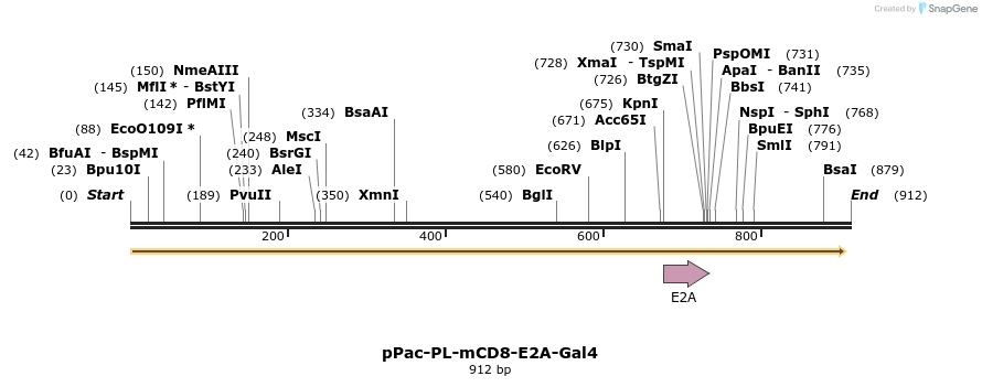 52579_map