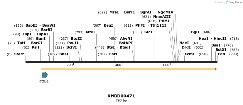 52581_map