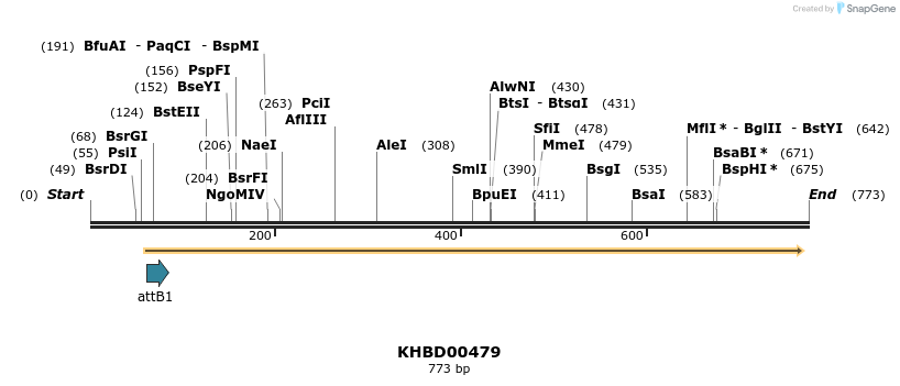 52584_map