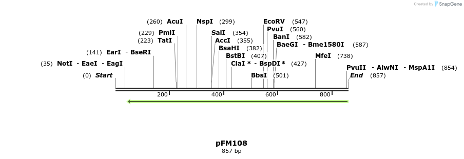 52587_map