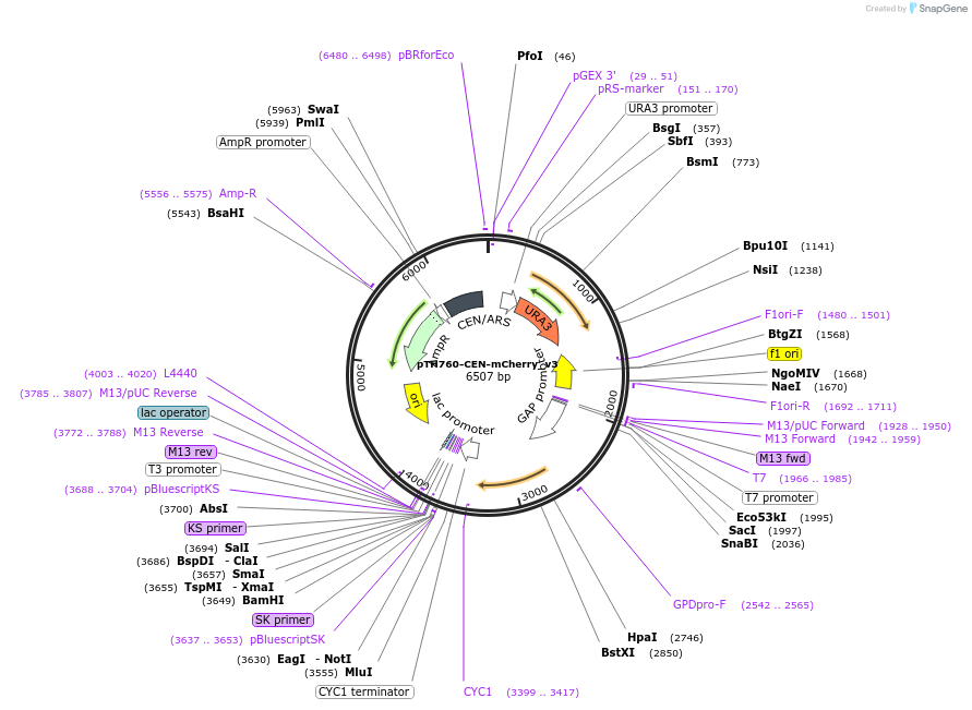 52590_map
