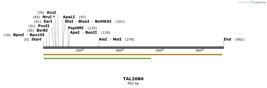 52591_map
