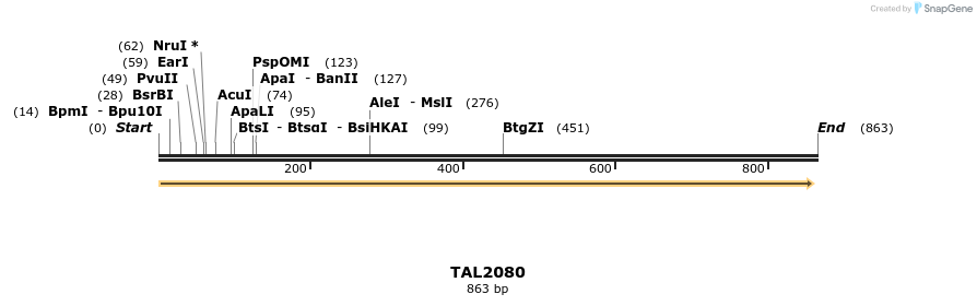 52593_map