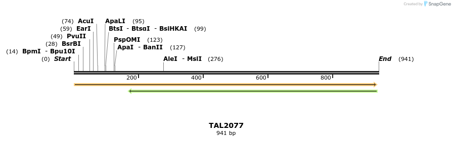 52594_map
