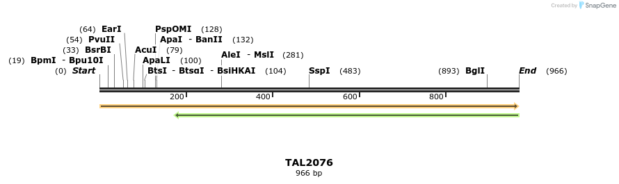 52595_map